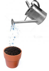 watering-pot-208x300